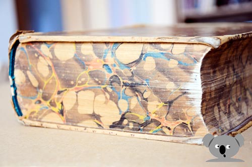 Johnson's dictionary side view